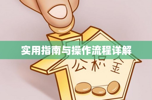 西城实用指南与操作流程详解