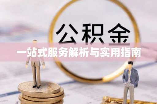 西城一站式服务解析与实用指南
