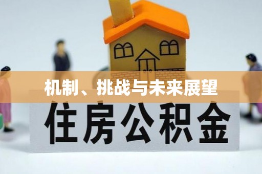 西城机制、挑战与未来展望