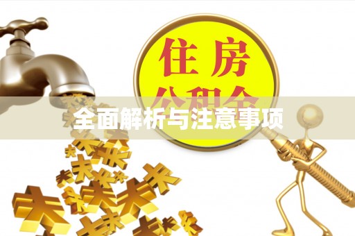 西城全面解析与注意事项