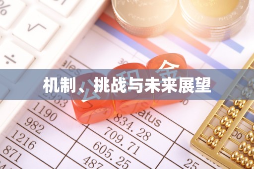 西城机制、挑战与未来展望