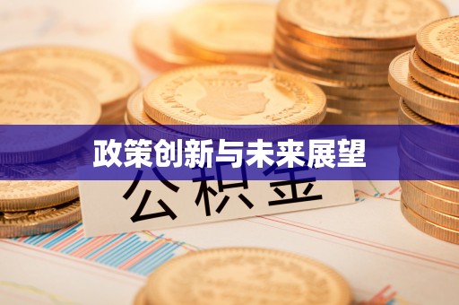西城政策创新与未来展望