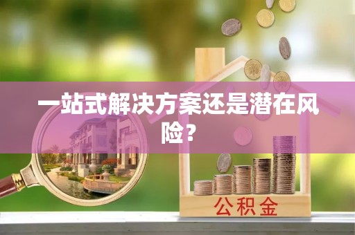 西城一站式解决方案还是潜在风险？